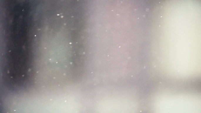 下雪雪后