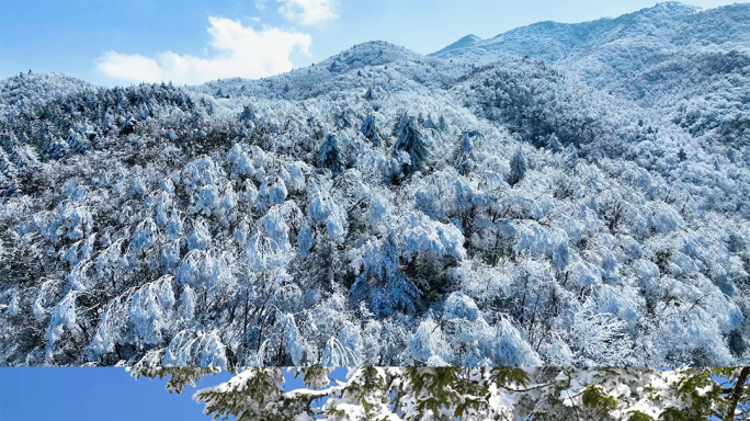 唯美冬天雪景 河流冰雪融化 雪景森林