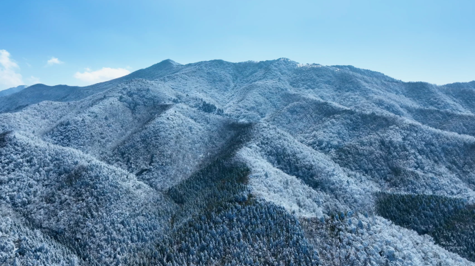 唯美冬天雪景 河流冰雪融化 雪景森林