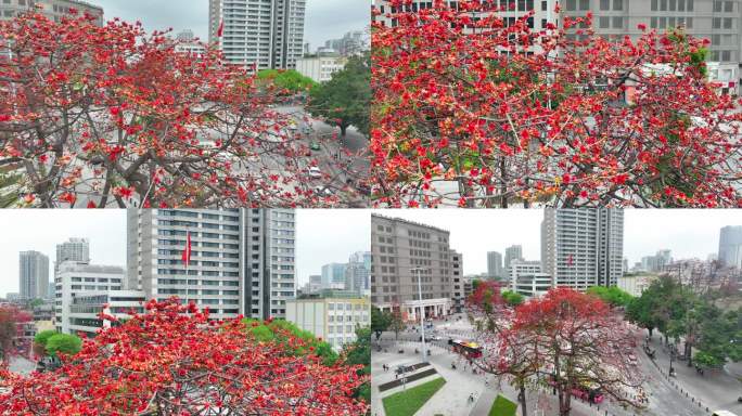 广州海珠广场广州解放纪念像木棉花4K航拍