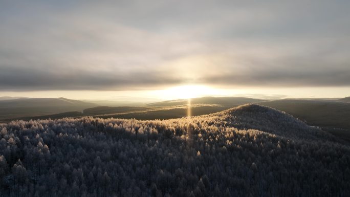 阳光照耀的大兴安岭雪色山林