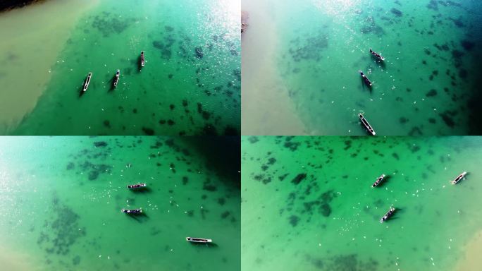 四川草海-云南泸沽湖海鸥成群围绕渔船