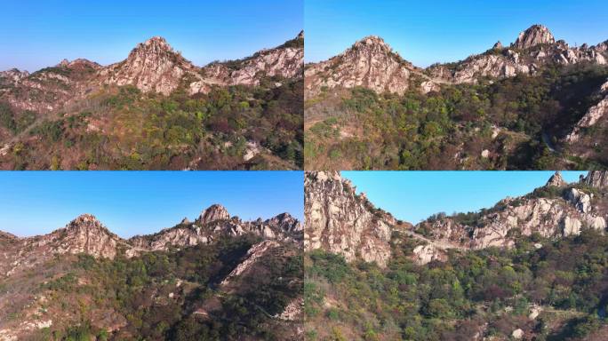 山东青岛浮山的秋天