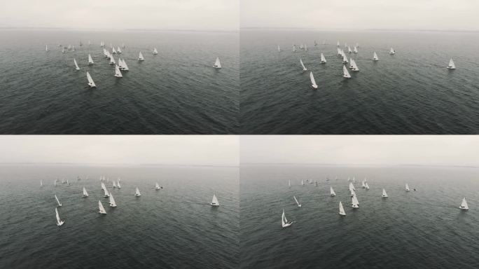 单桅帆船在康斯坦斯湖逆风航行