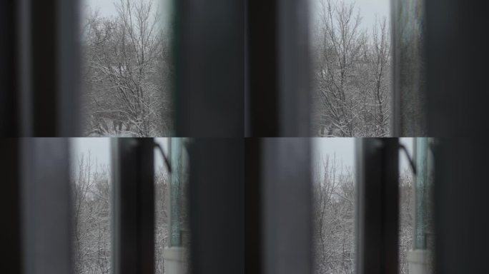 小镇上一栋公寓楼窗外被雪覆盖的树木特写。下雪后从公寓窗户看到的美丽的冬日景色，被白雪覆盖的树木