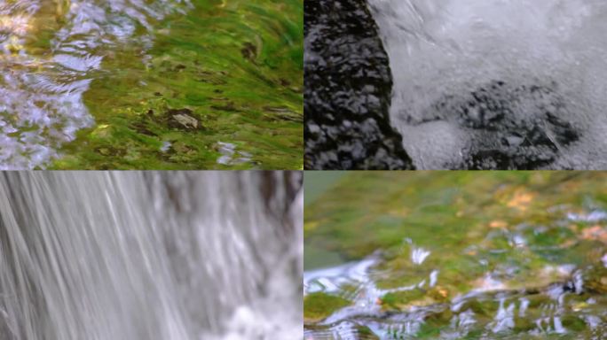 杭州植物园小溪流水特写视频素材4