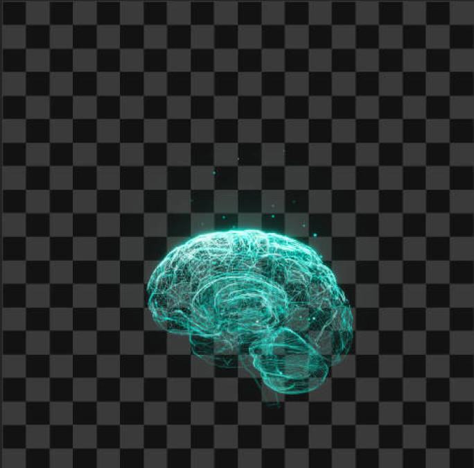 高清全息大脑 旋转循环动画2（带通道）