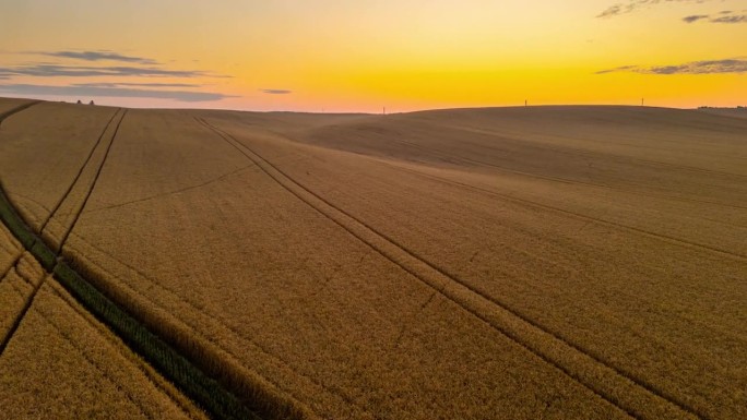 超缩无人机视角下的日出金色小麦作物景观