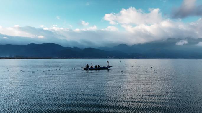 四川草海——云南泸沽湖海鸥成群2