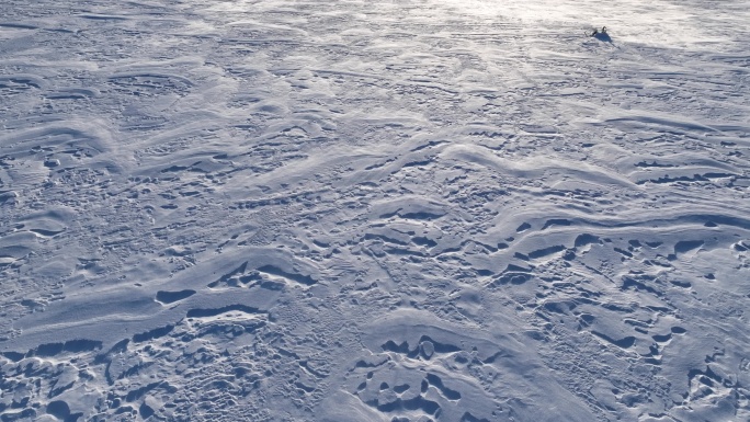 呼伦贝尔草原冬季风吹雪