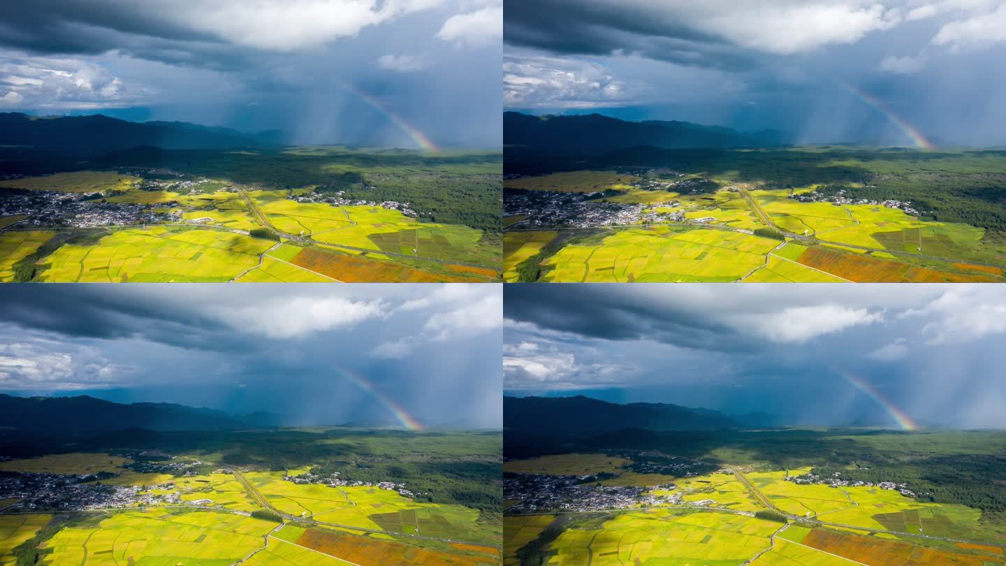 【延时】秋天雨后彩虹 金黄稻田光影变化