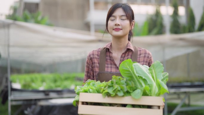 年轻的亚洲女农民在有机农场手持菜篮的肖像。