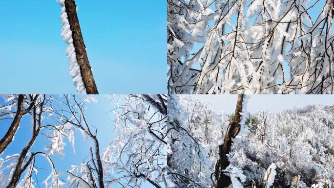 太阳光下的冰丝雪景