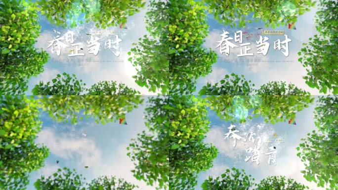 4K 绿色清新春游 旅游文字片头AE模板
