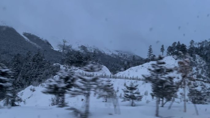 车窗内沿途雪景