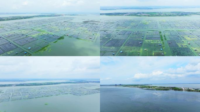 阳澄湖水产养殖湖水风景