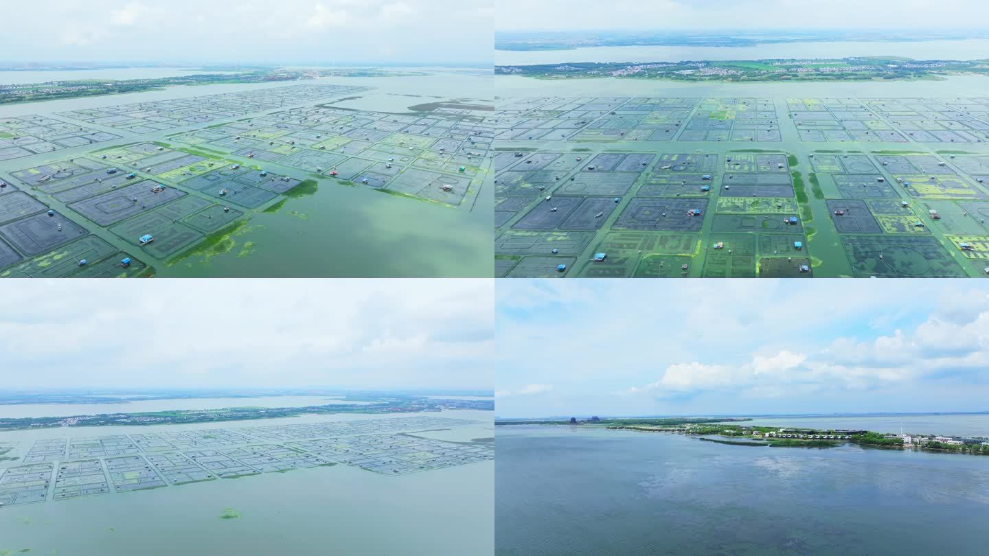 阳澄湖水产养殖湖水风景