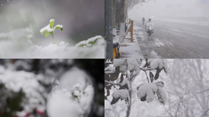 雪景