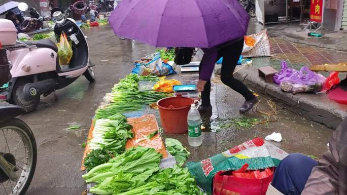卖菜老人雨天菜市场蔬菜青菜 百姓生活市场