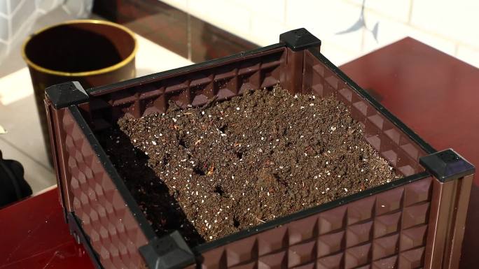 盆栽蔬菜 菠菜播种 盖土 浇水 覆膜保温
