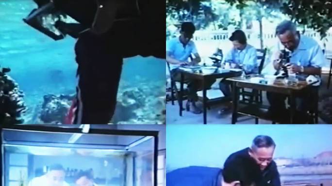 80年代初 中国科学家 海洋植物研究