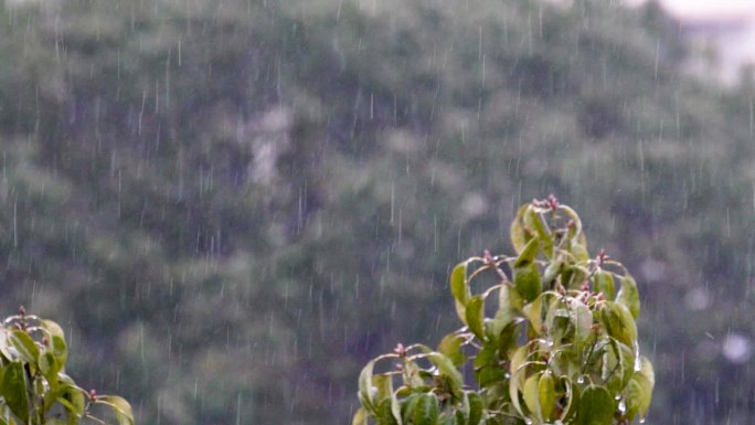 冰雨冻雨慢镜头