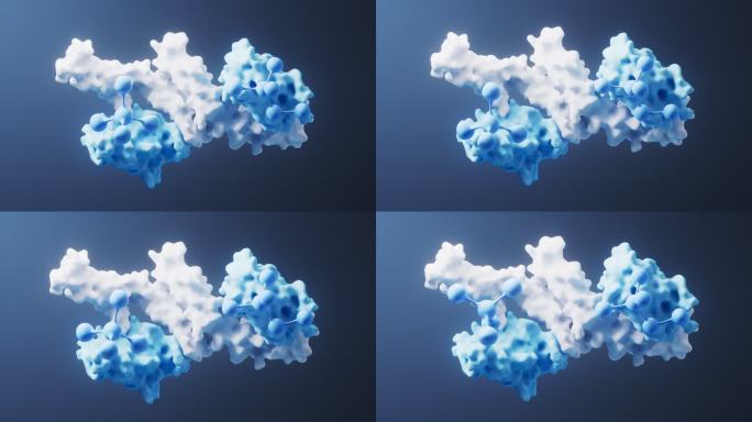 分子与蛋白质生物科技概念3D渲染