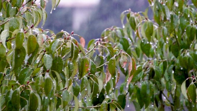 冰雨冻雨慢镜头