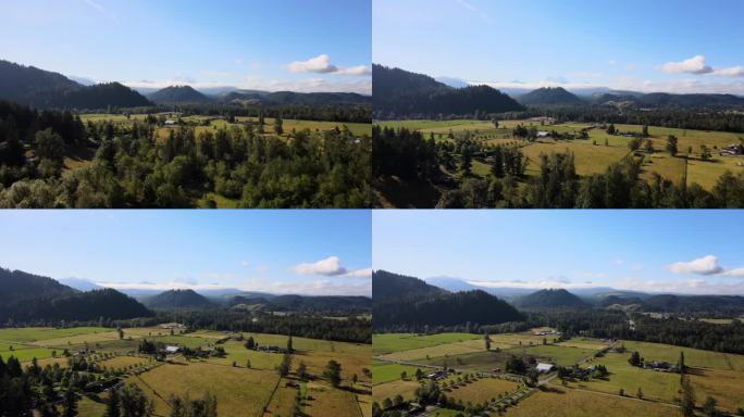 华盛顿乡村农田与雷尼尔山的空中拍摄