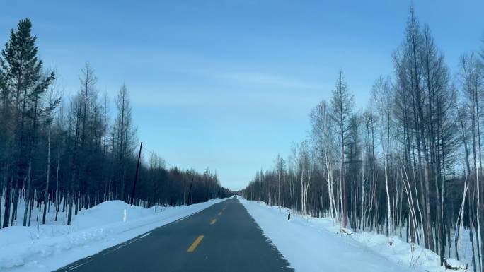 漠河 公路 雪景 自驾 旅行 驾车 旅行