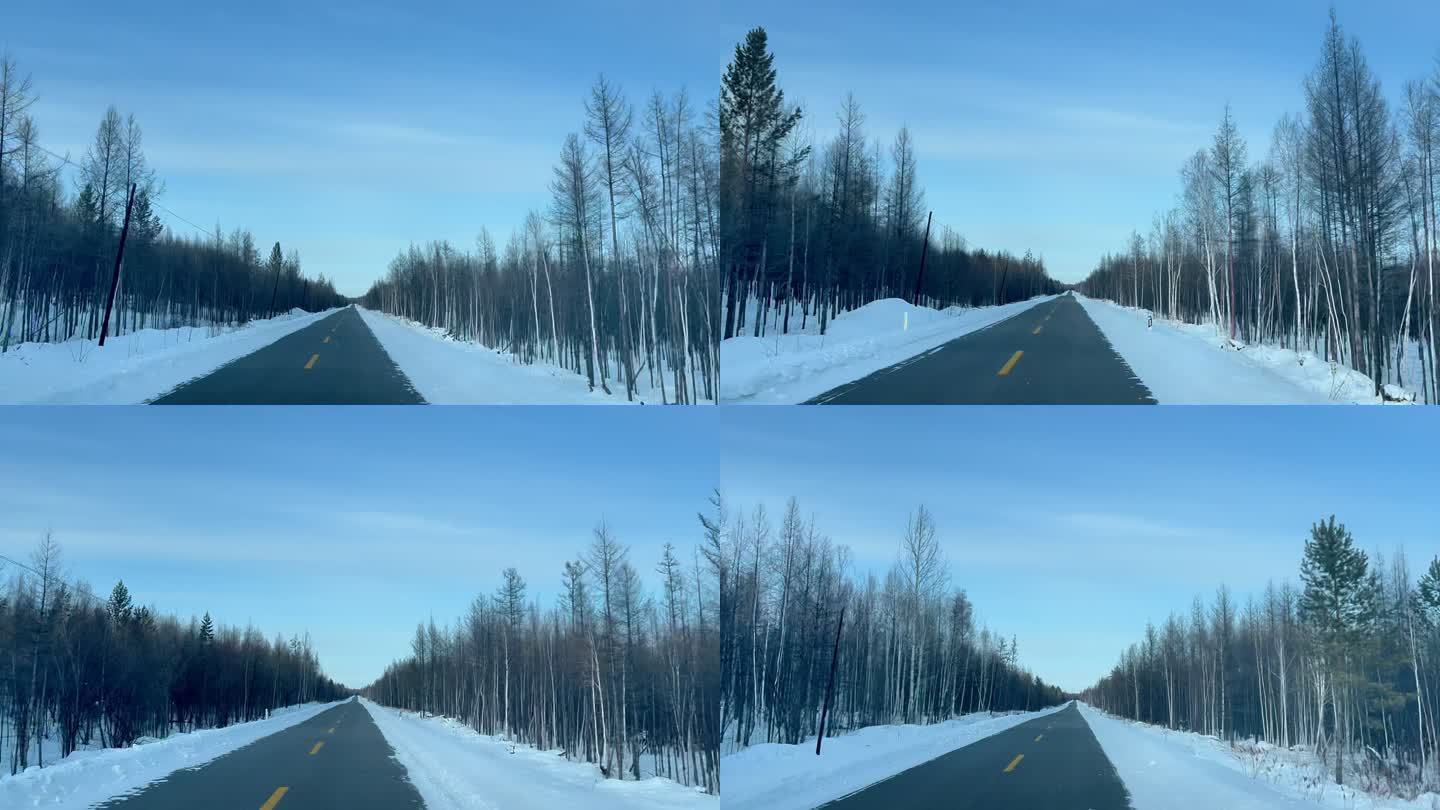 漠河 公路 雪景 自驾 旅行 驾车 旅行