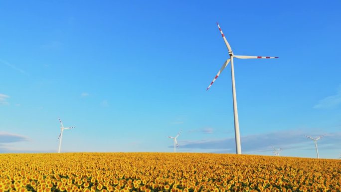 空中向日葵和可再生能源:庄严的风力涡轮机矗立在向日葵的田野中，宁静的无人机镜头