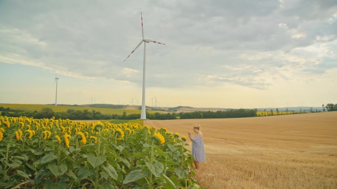 可持续发展的气息:在风力涡轮机中拥抱自然