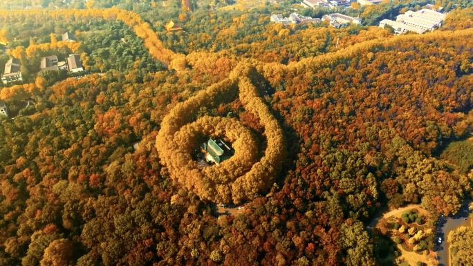 南京秋天航拍 钟山风景区 美龄宫 金陵