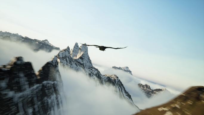 黑色老鹰飞过雪山云海草原山地日出气势磅礴