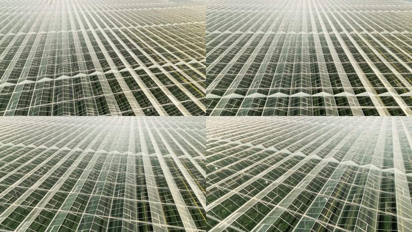 空中高角度全画幅无人机镜头玻璃屋顶在大温室在晴天