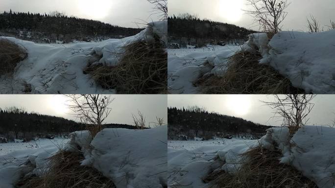 北方极端大雪狂风天气