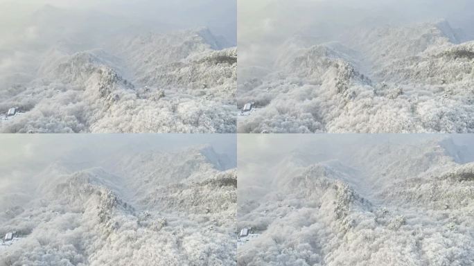 秦岭南五台灵应台冬季雪景雪松航拍34