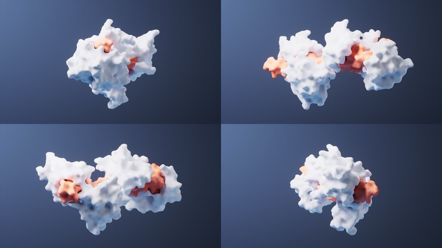 生物科技蛋白质分子结构循环动画3D渲染