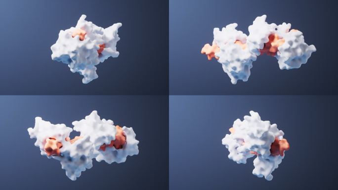 生物科技蛋白质分子结构循环动画3D渲染