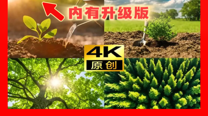 312植树节种树植树浇灌小树苗树林森林