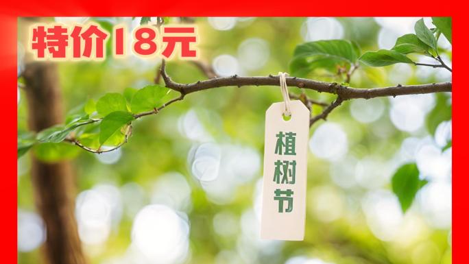 312植树节种树植树浇灌小树苗树林森林
