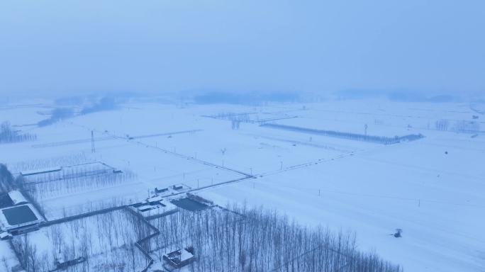 农村大雪