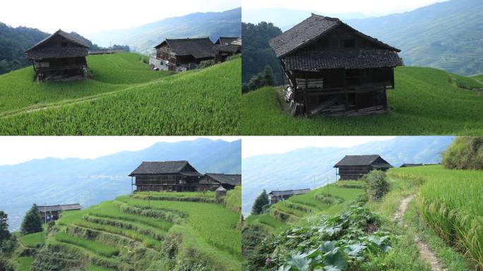 贵州风景 山