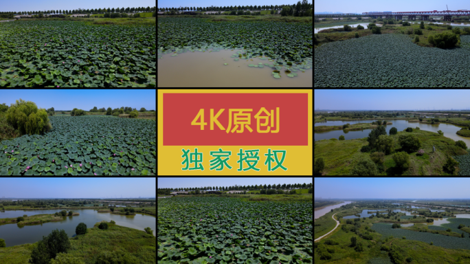 4K高清航拍河堤路湿地公园