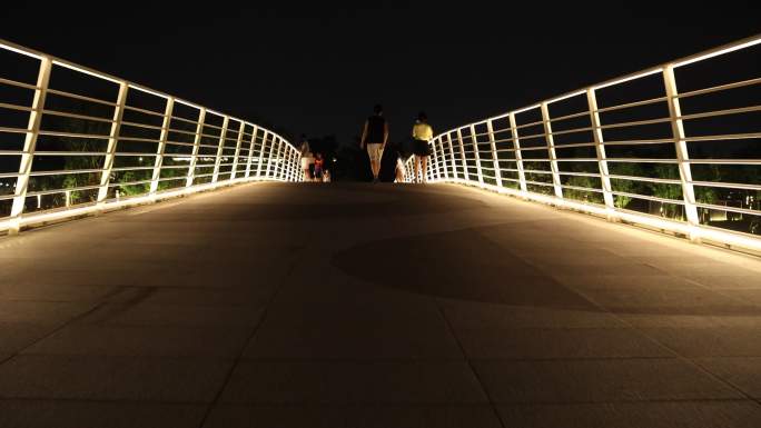 东安湖 公园 夜景 游玩 夏夜 桥面