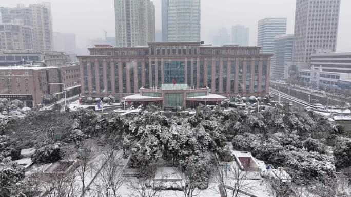 洪山宾馆雪景