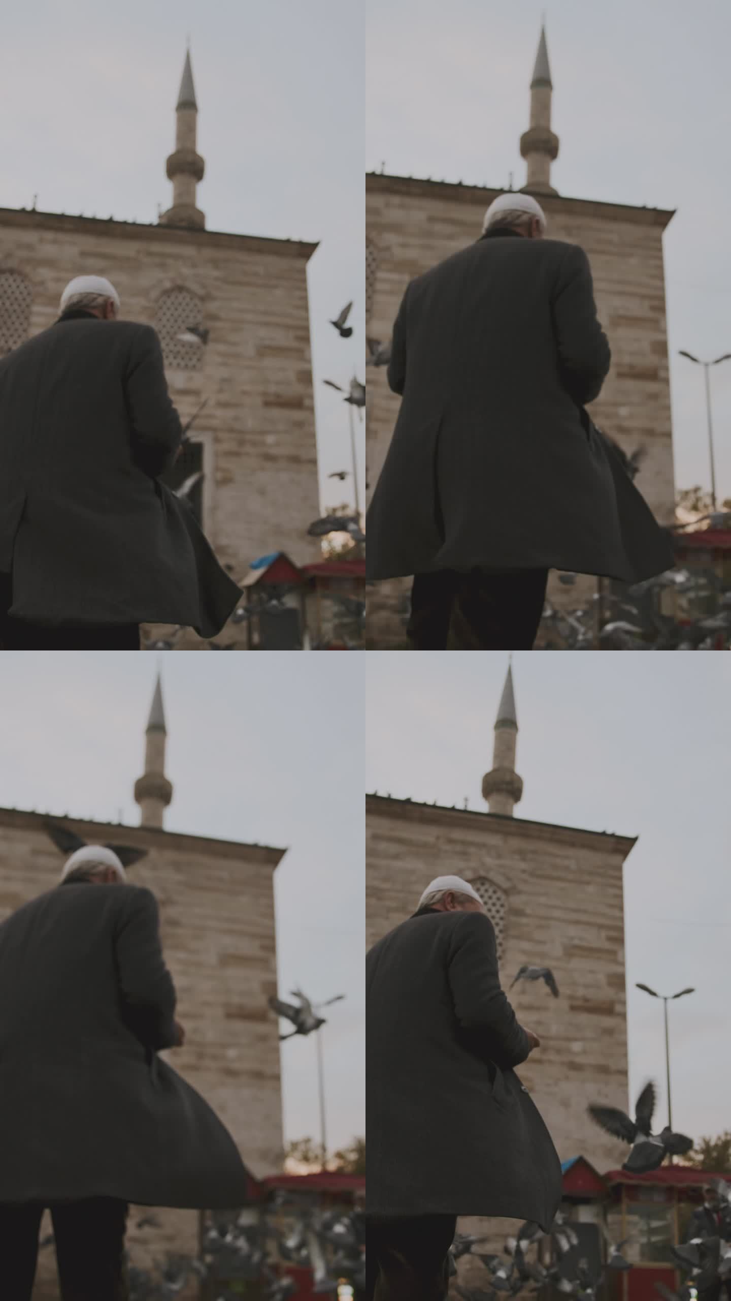 一名老人在清真寺的鸽子群中穿过广场#清真寺入口#鸽子飞行