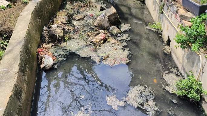 臭水沟 排水沟 污水渠 污水沟 河水污染