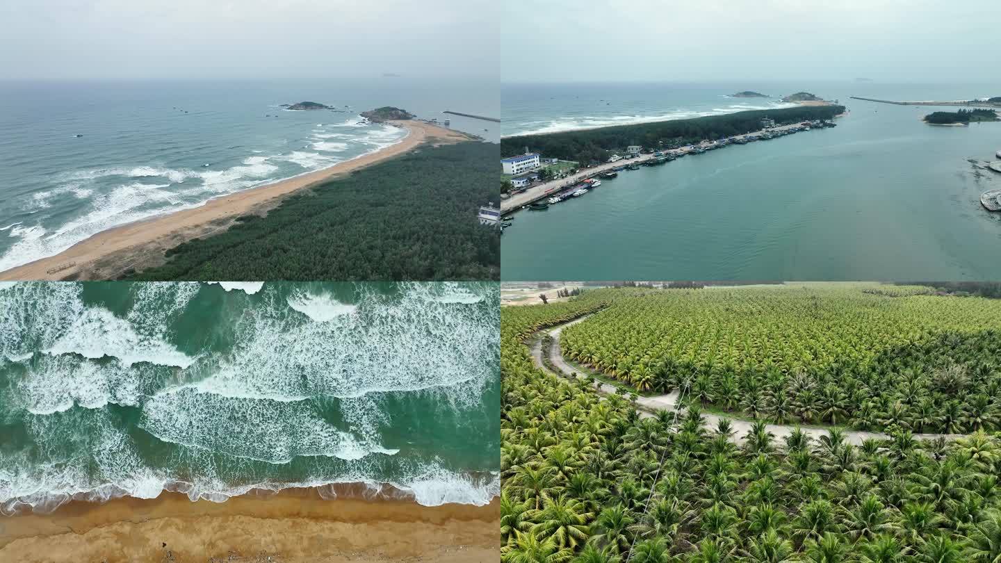 海南大海海边海浪沙滩椰树椰林